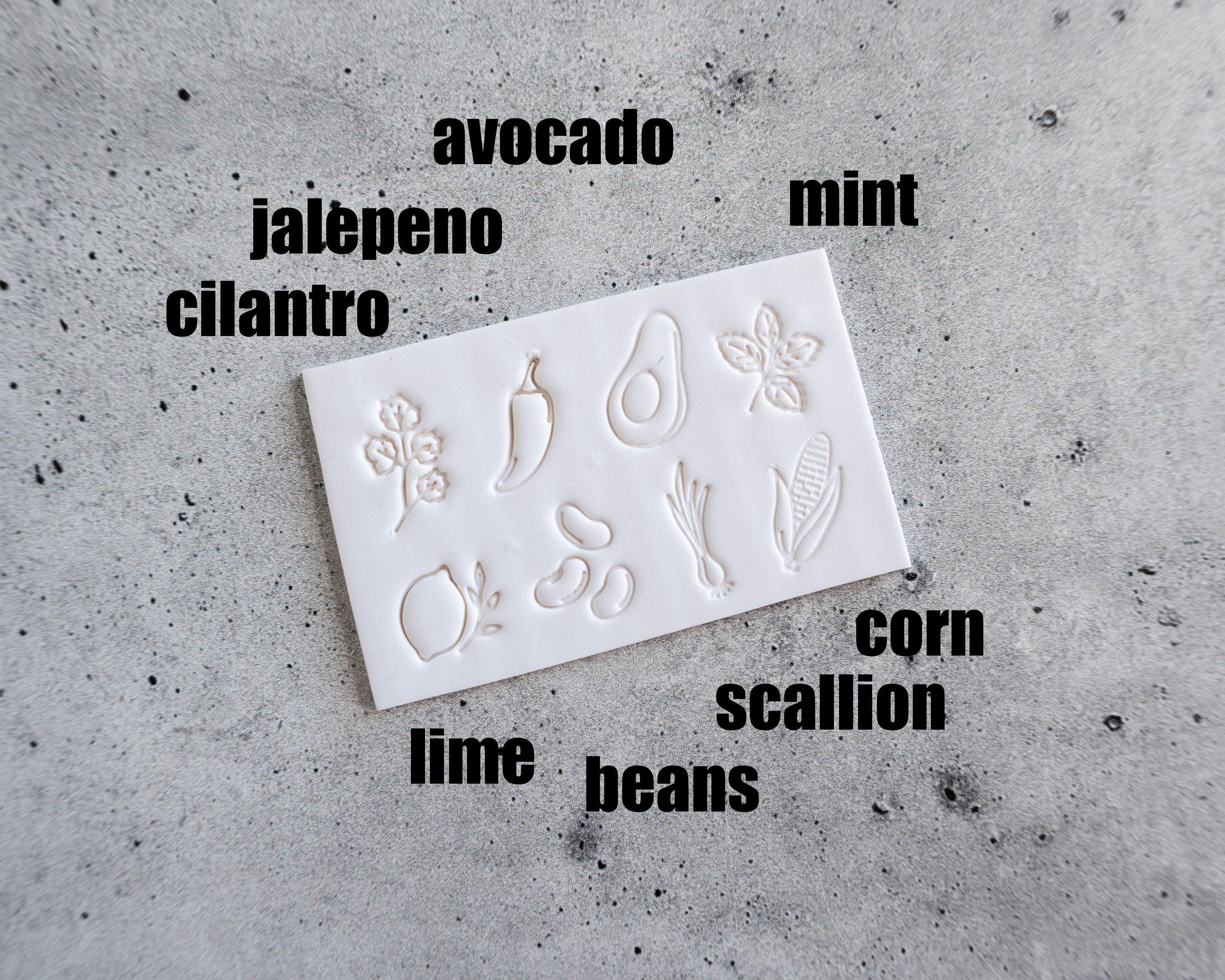 Spicy Stamps Collection - Companion to our Herb Markers - Set of 8