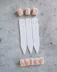 Spicy Stamps Collection - Companion to our Herb Markers - Set of 8