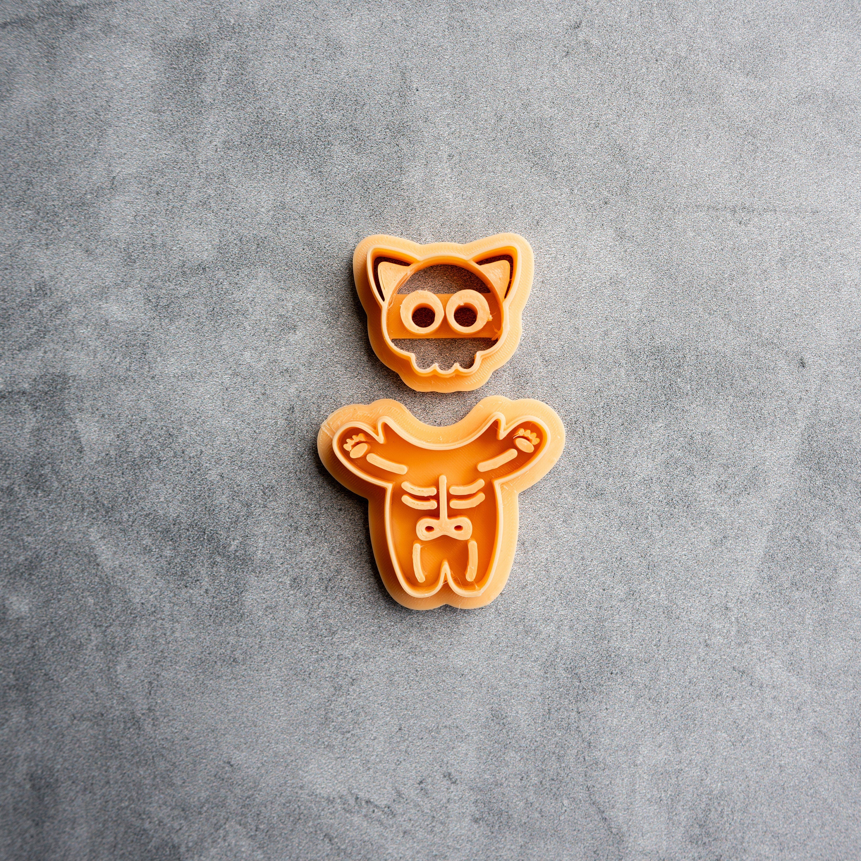 Cat Skeleton - 2 Piece Set