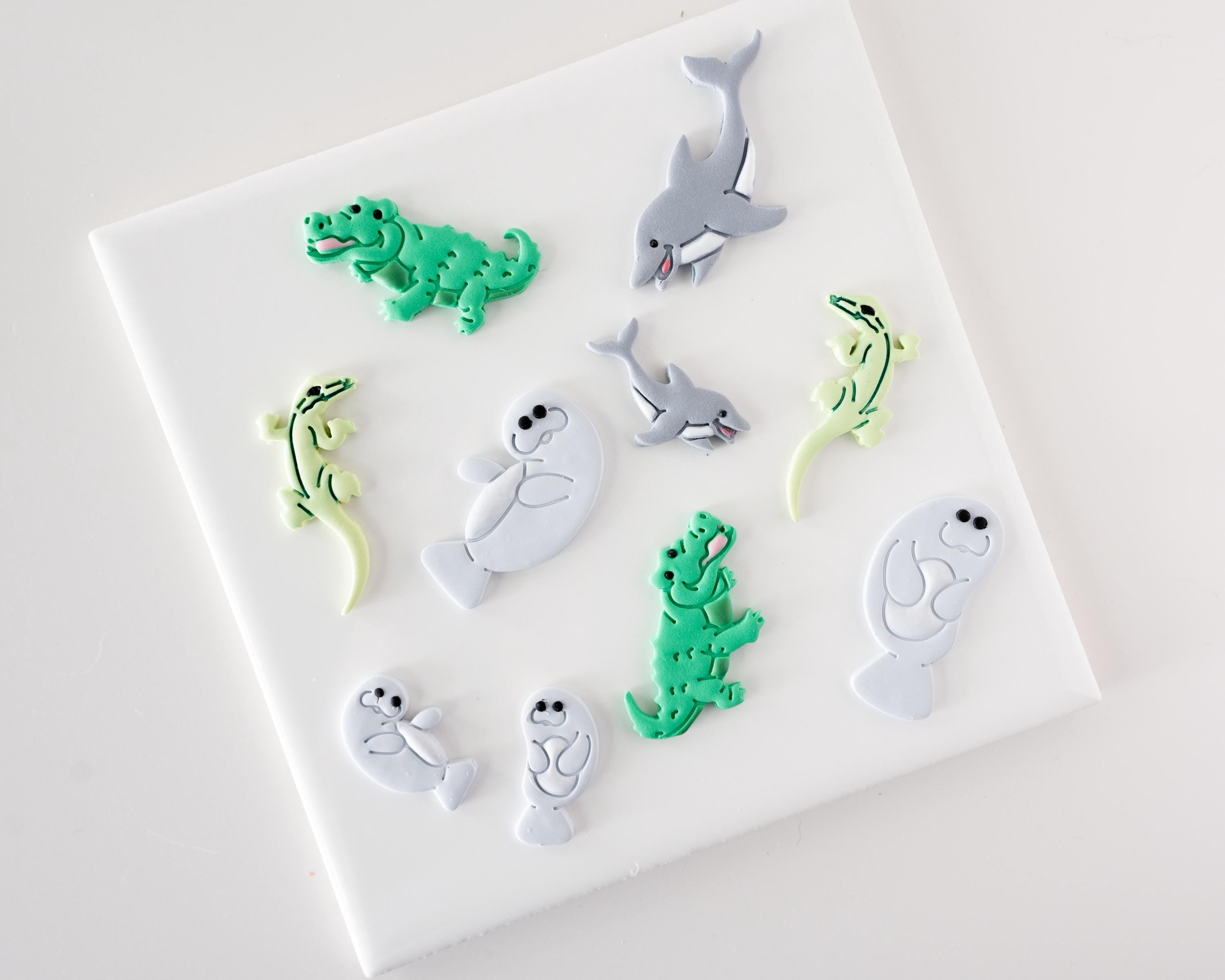 Dolphin - Florida Wildlife Collection