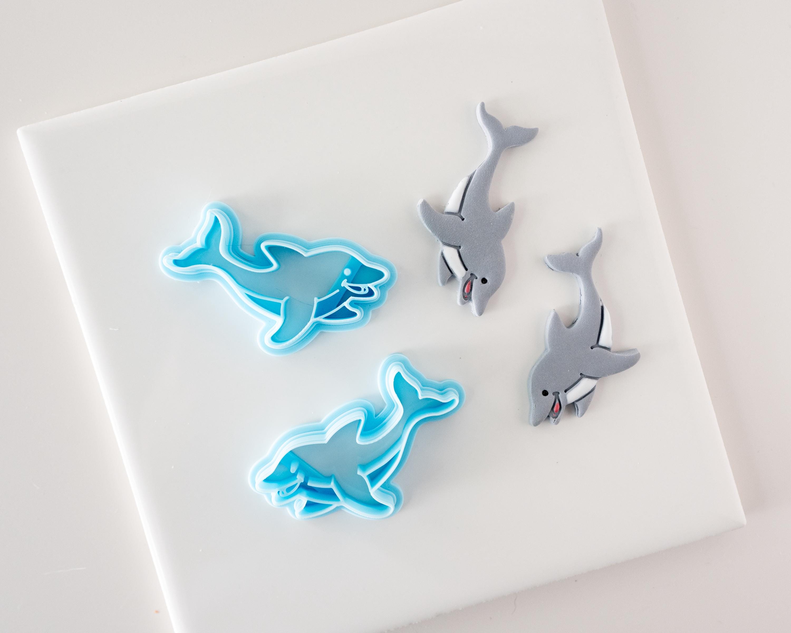 Dolphin - Florida Wildlife Collection