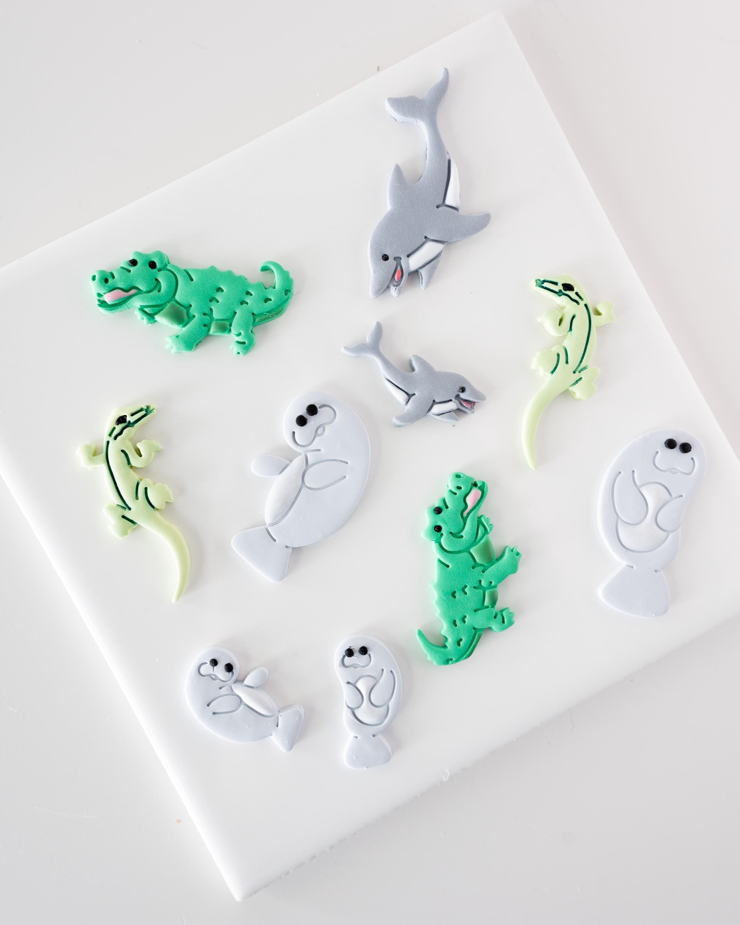 Dolphin - Florida Wildlife Collection