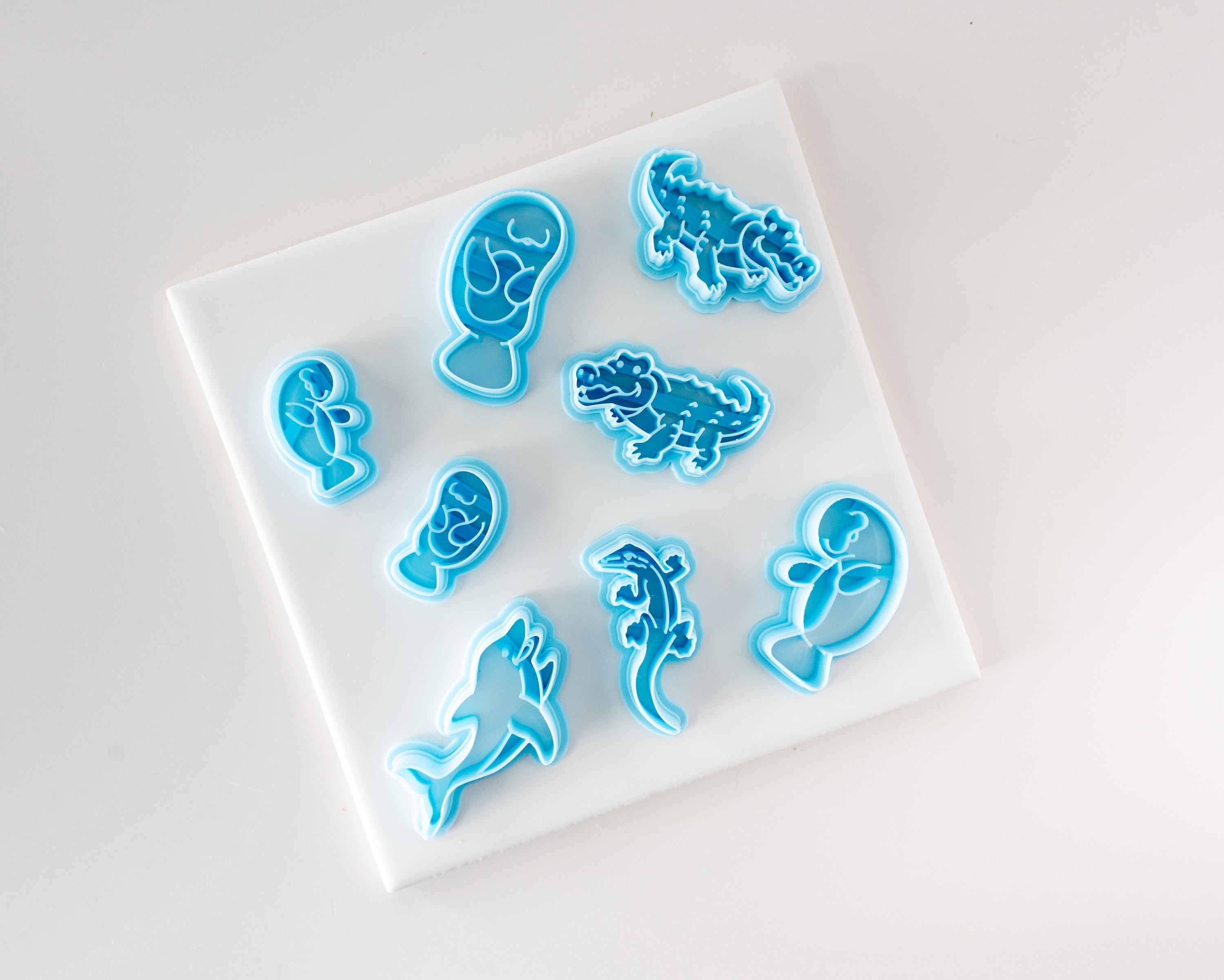 Dolphin - Florida Wildlife Collection