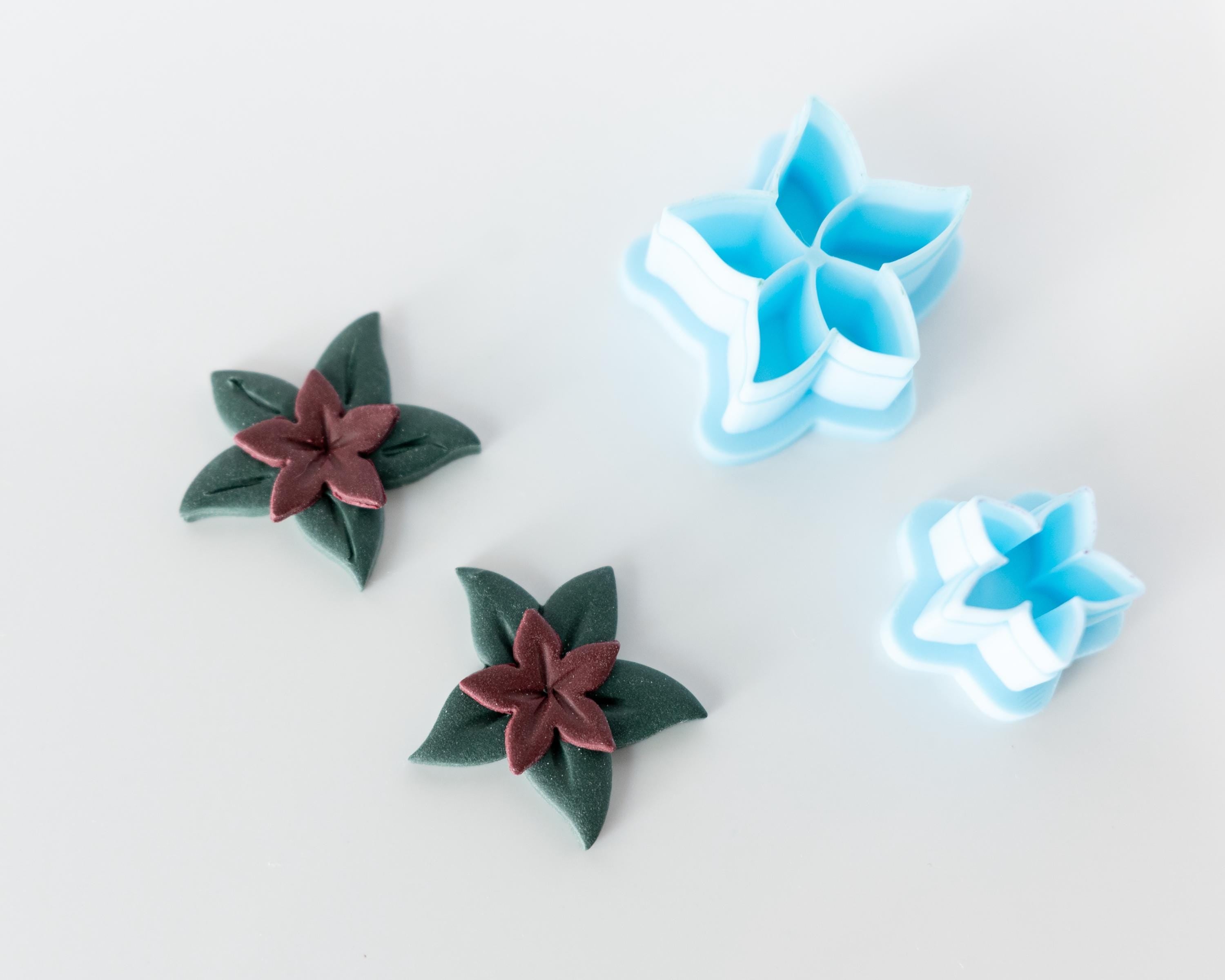 Poinsettia - 2 piece set