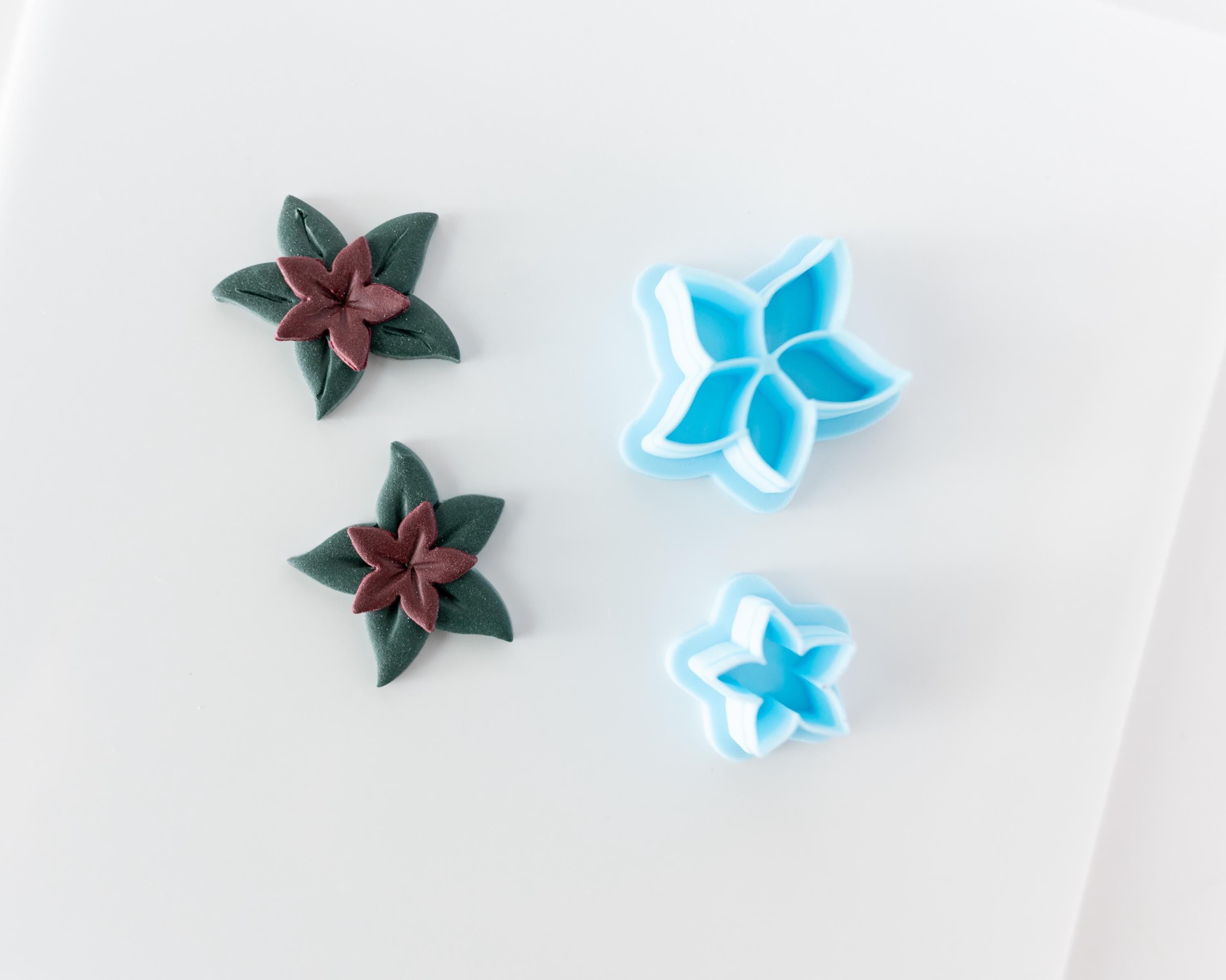 Poinsettia - 2 piece set