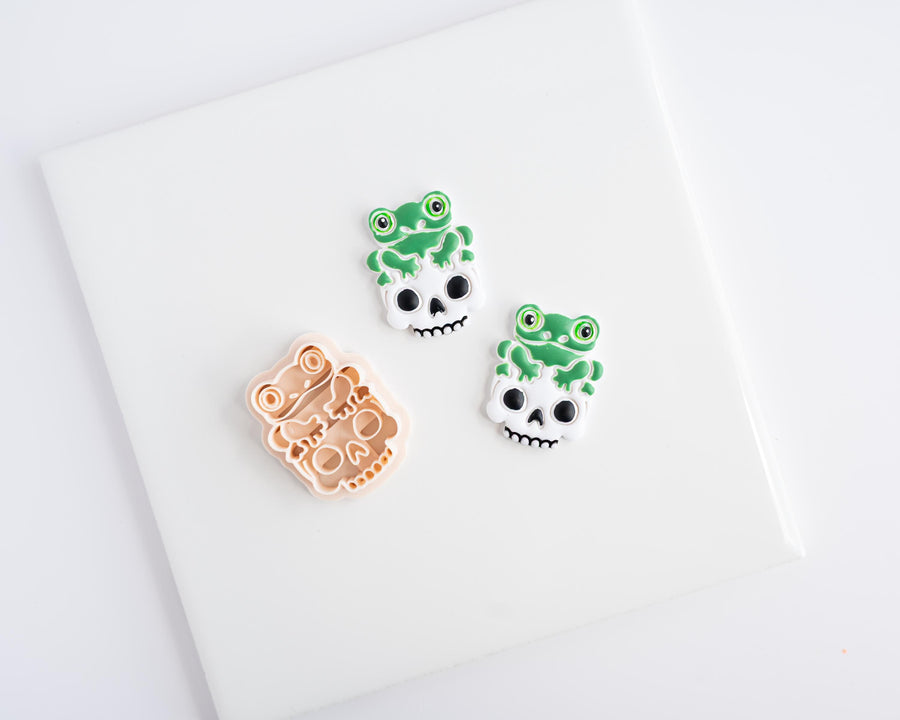 Frog Skull