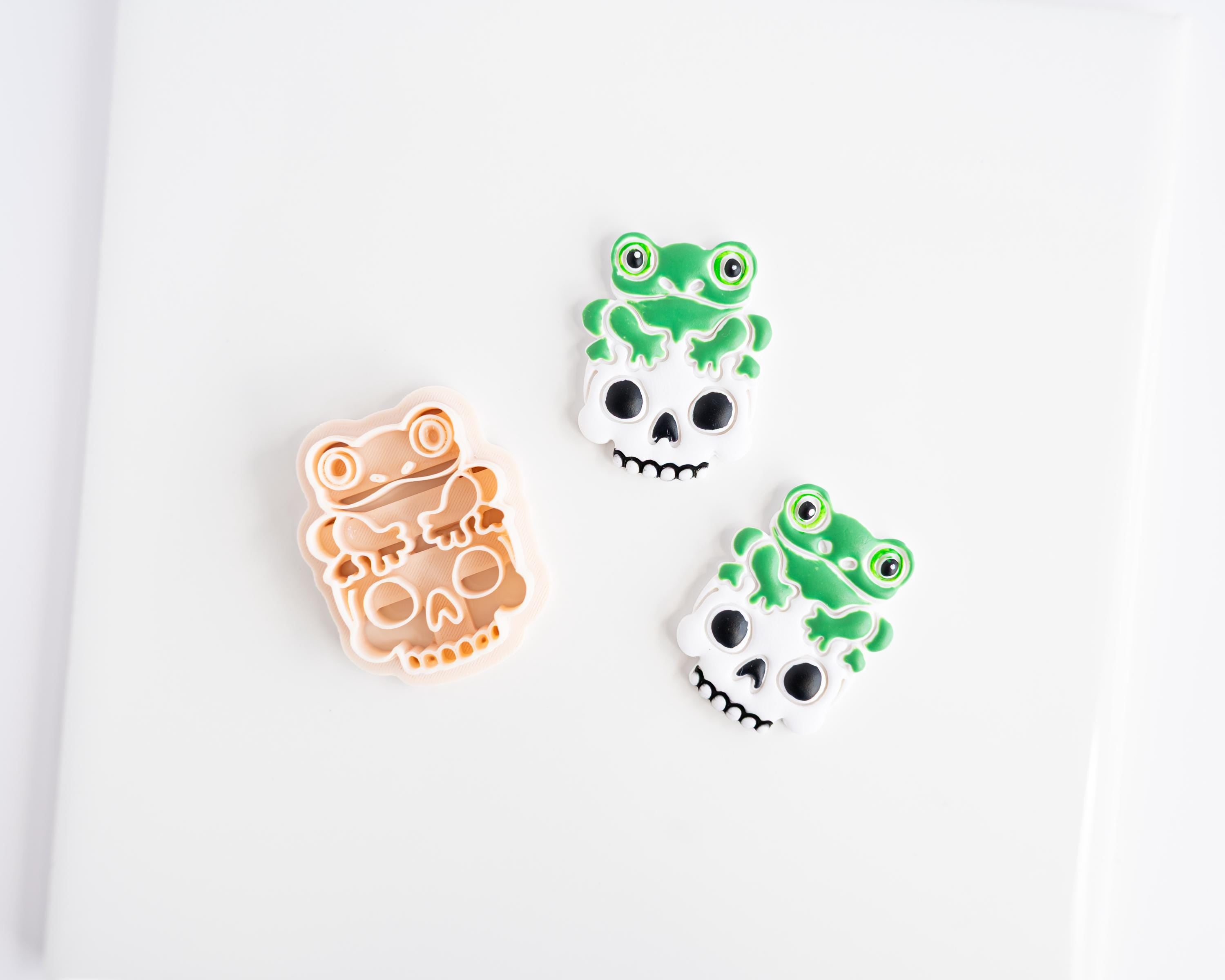 Frog Skull