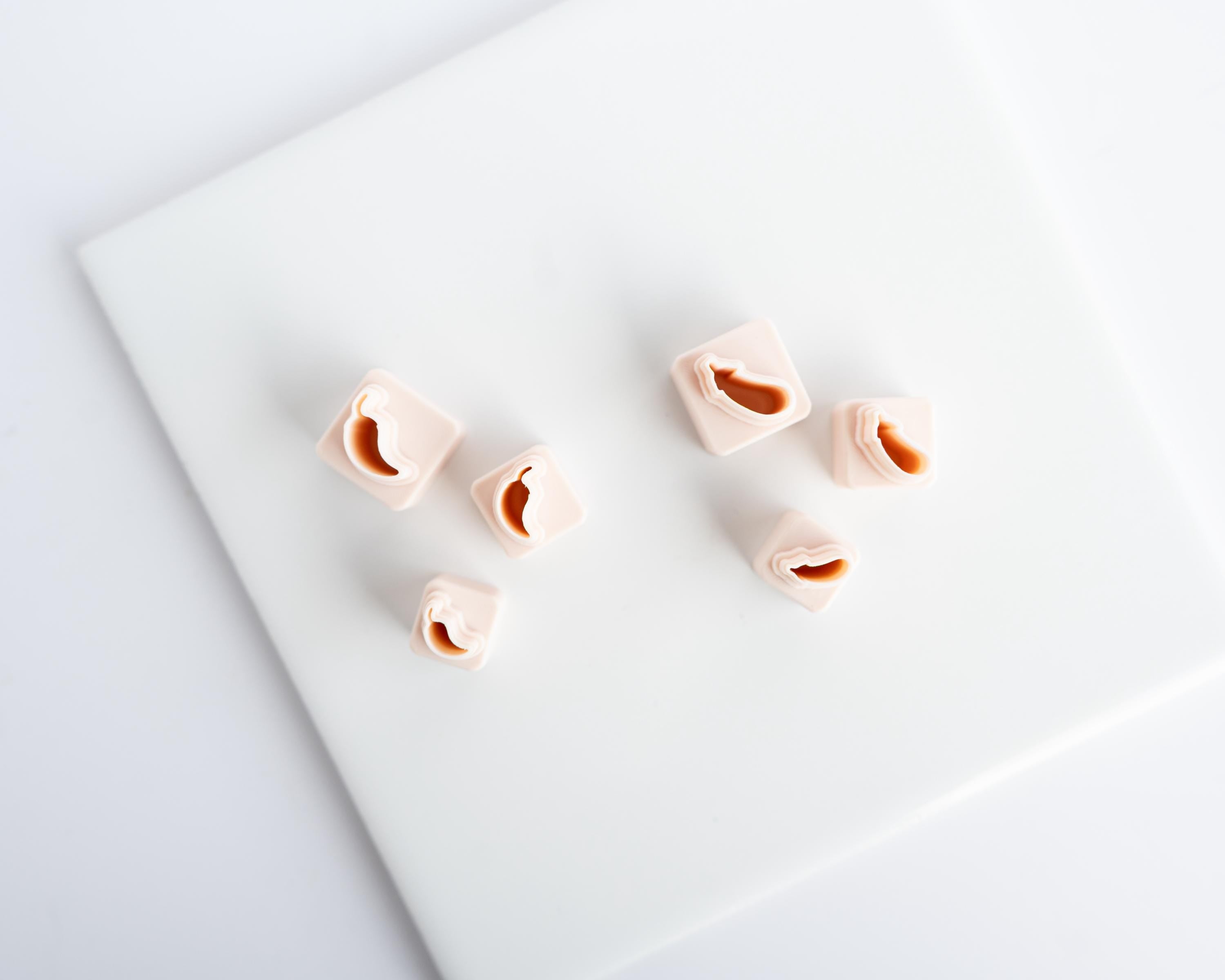 Micro Chili Pepper and Eggplant Cutters