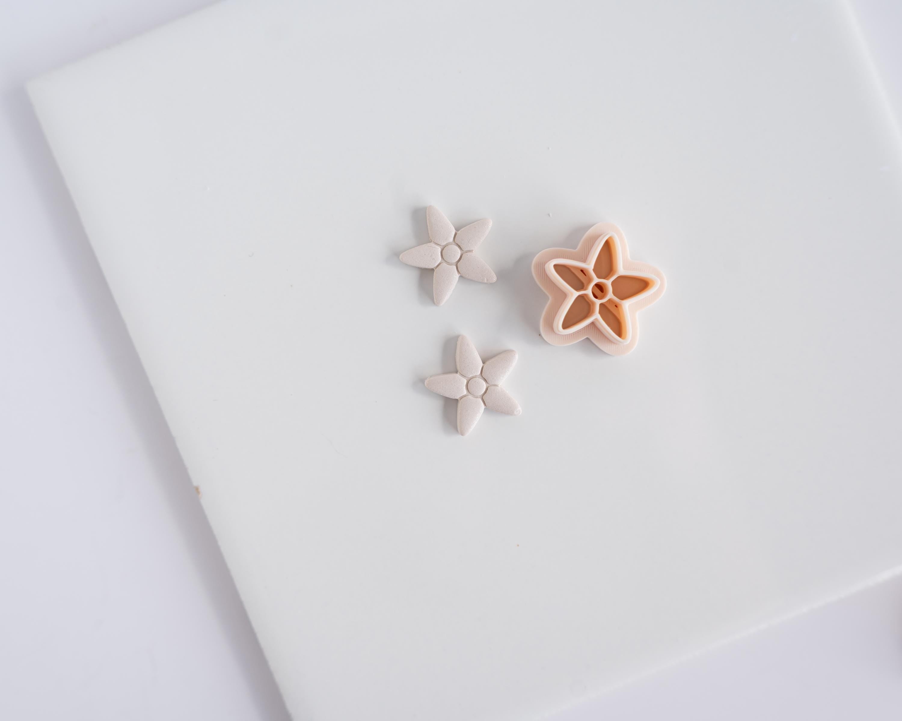 Embossed Shells Set