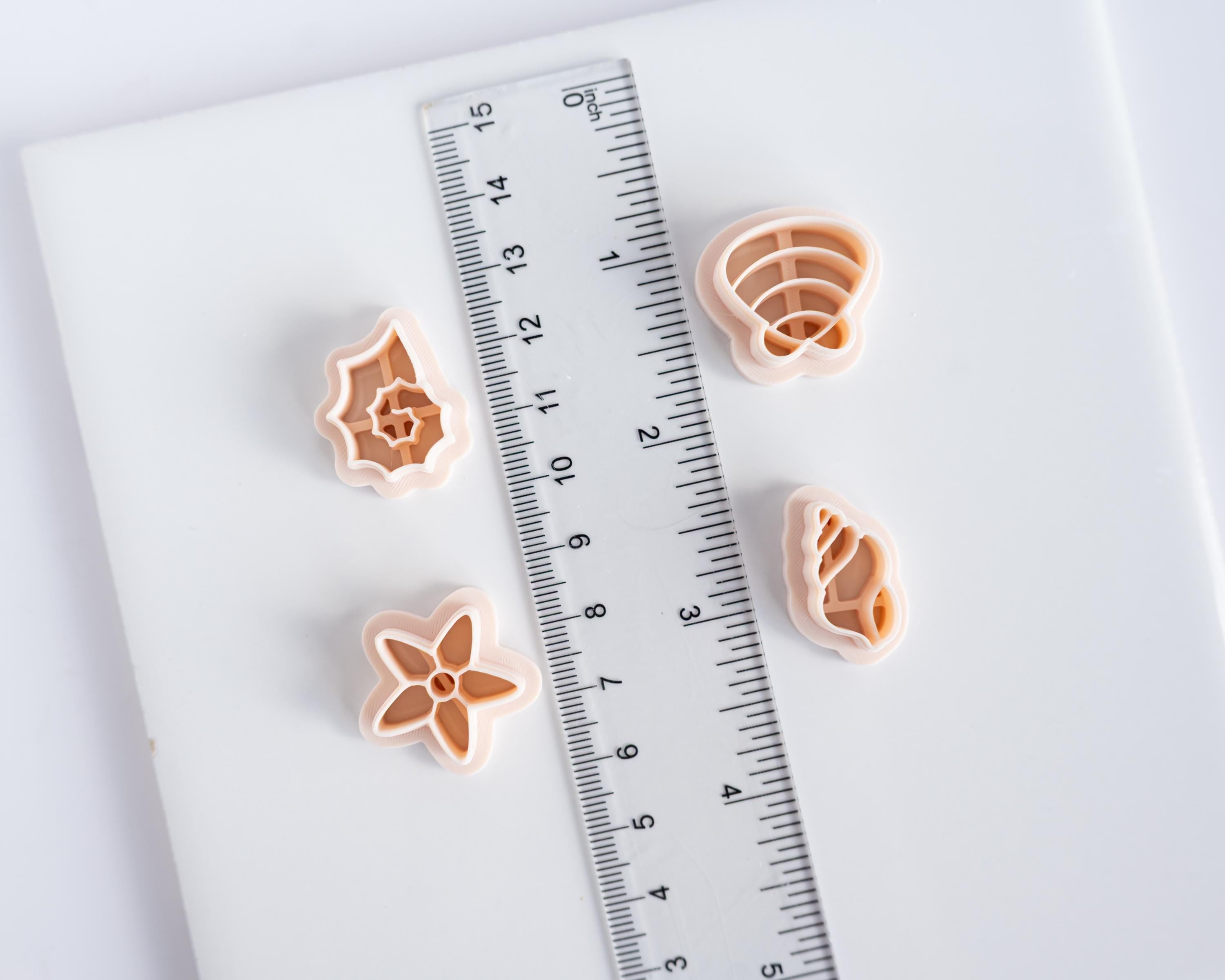Embossed Shells Set