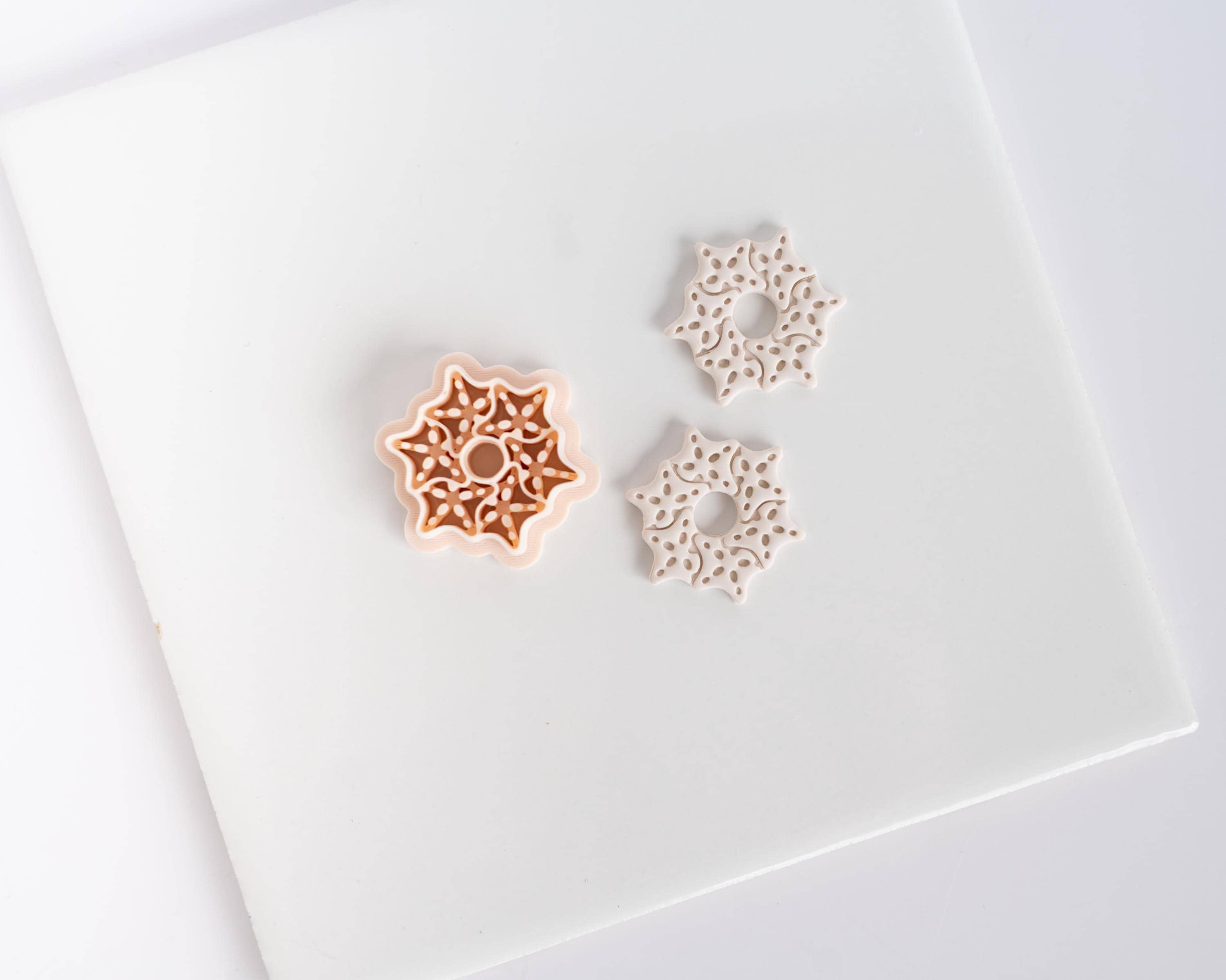 Shell Circle Hoop