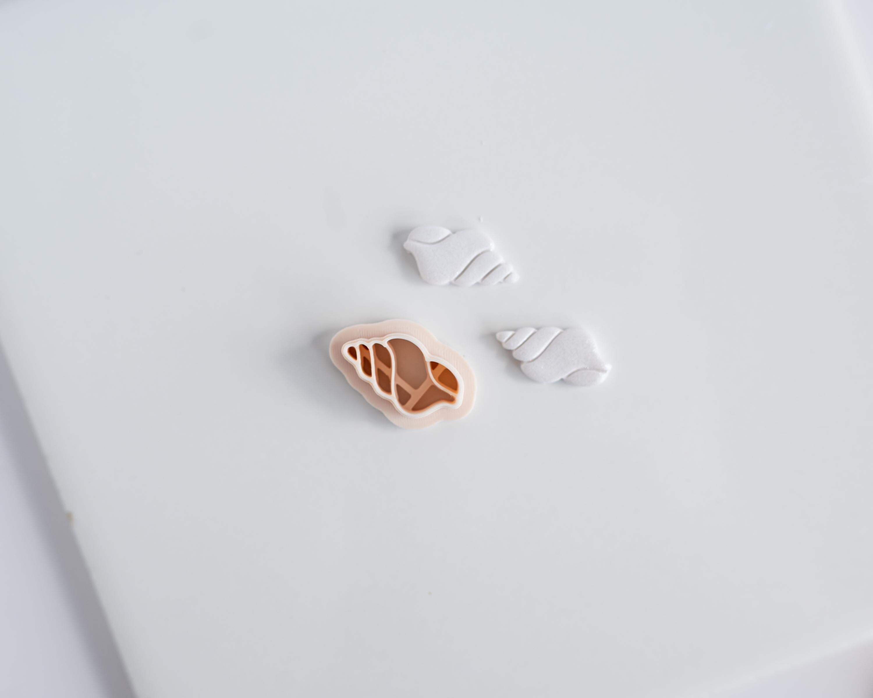 Embossed Shells Set
